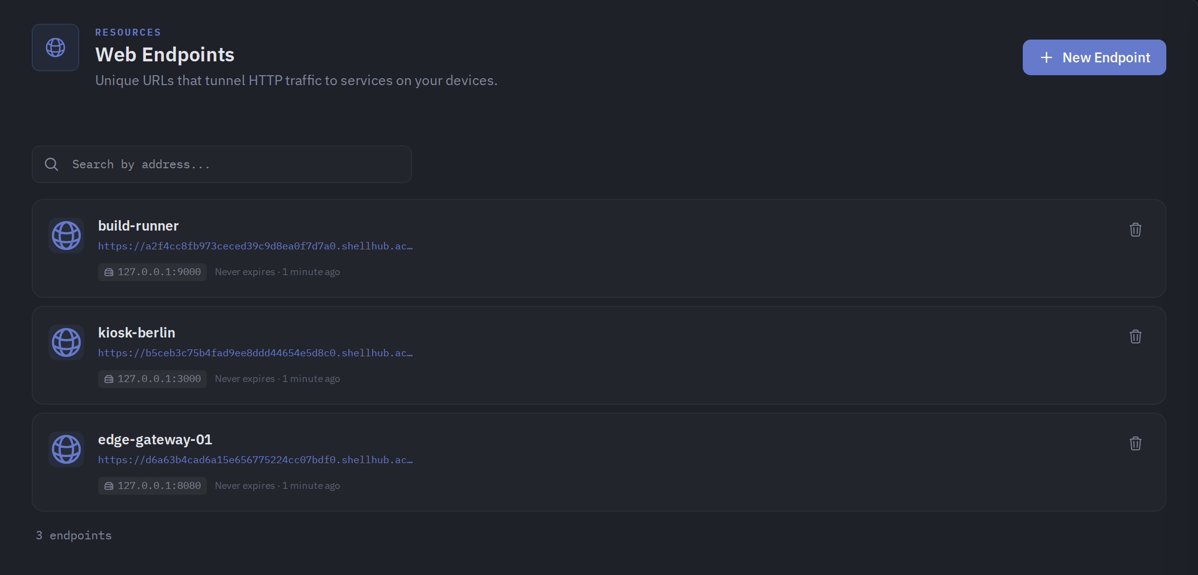 The Web Endpoints page listing active endpoints with their public URLs, targets, and time remaining